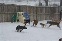 daycare pic 129 - winter fun